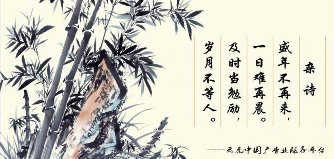 辦公室風(fēng)水擺件，助你事業(yè)風(fēng)生水起